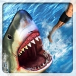 Angry Attack Shark-Revenge Of Killer Fish At Beach