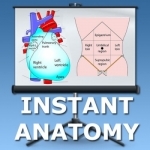 Anatomy Lectures Thorax and Abdomen