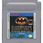 Batman: The Video Game 