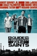 A Guide to Recognizing Your Saints (2006)