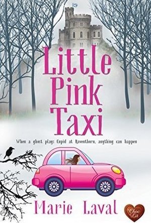 Little Pink Taxi