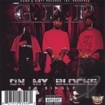 On My Blocks Single by Gain From Pain