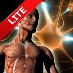 ATLAS: Human Body A-Z FREE for iPad