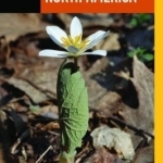 Medicinal Plants of North America: A Field Guide