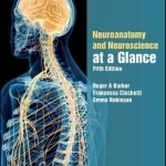 Neuroanatomy and Neuroscience at a Glance