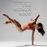 Introduction to the Human Body