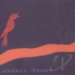 Nightbird by Markus James