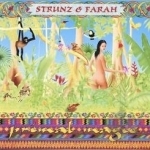 Primal Magic by Strunz &amp; Farah