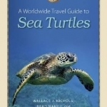 A Worldwide Travel Guide to Sea Turtles