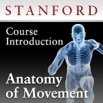 Anatomy of Movement - Course Introduction
