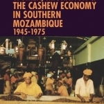 Women, Migration &amp; the Cashew Economy in Southern Mozambique: 1945 - 1975