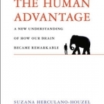 Human Advantage: How Our Brains Became Remarkable