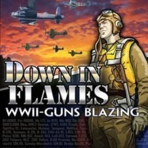 Down in Flames: WWII-Guns Blazing