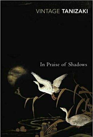 In Praise of Shadows