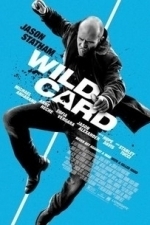 Wild Card (2015)