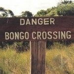 Danger Bongo Crossing by Bossa Nova Beatniks