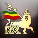 Dub Siren DX -DJ Mixer Synth + Reggae Dub Radio