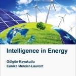 Intelligence in Energy