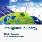 Intelligence in Energy