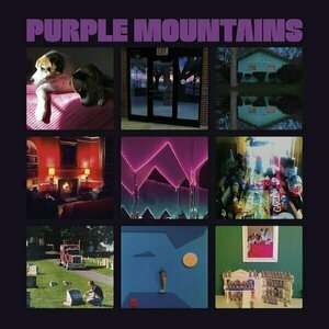 Purple Mountains by Purple Mountains