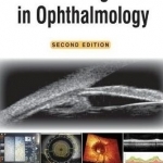 New Investigations in Ophthalmology