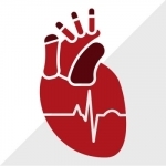 ECG Clínico: Guia de eletrocardiograma