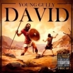 David by Young Gully