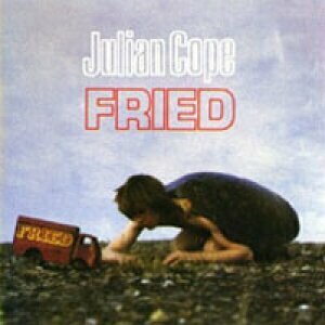 Fried by Julian Cope