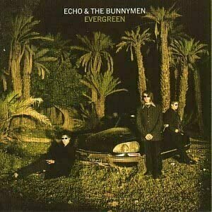 Evergreen by Echo & The Bunnymen