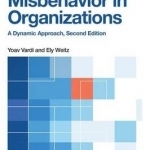 Misbehavior in Organizations: A Dynamic Approach