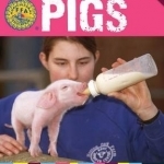 How to Raise Pigs