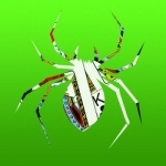 Spider Solitaire - Free Classic Fun Card Strategy SpiderSolitaire Game with Old School Playing Cards