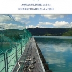 Becoming Salmon: Aquaculture and the Domestication of a Fish