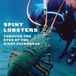 Spiny Lobsters: Through the Eyes of the Giant Packhorse