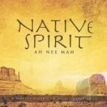 Native Spirit by David Arkenstone