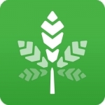Rate My Weed - The First Ever Marijuana Recognition Software