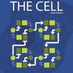 Molecular Biology of the Cell