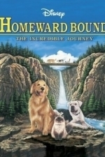 Homeward Bound - The Incredible Journey (1993)