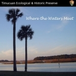 Inside the Timucuan Preserve