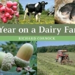 A Year on a Dairy Farm