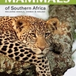 Stuart&#039;s Field Guide to Mammals of Southern Africa: Including Angola, Zambia &amp; Malawi