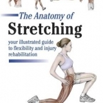 The Anatomy of Stretching: Your Illustrated Guide to Flexibility and Injury Rehabilitation