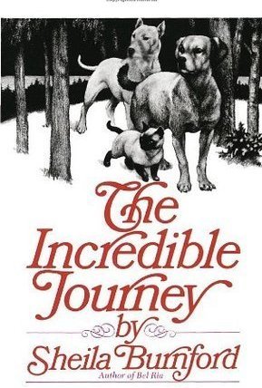 The Incredible Journey