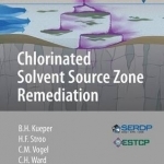 Chlorinated Solvent Source Zone Remediation