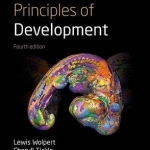 Principles of Development