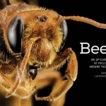 Bees: An Up-Close Look at Pollinators Around the World