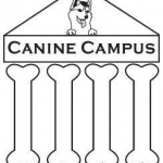 Canine Campus