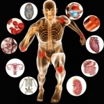 Principles of Anatomy and Physiology