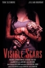 Visible Scars (2012)