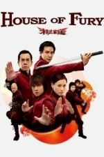 Jing mo gaa ting (House of Fury) (2005)